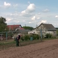 *** :: Валентина Береснева