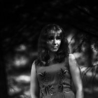 В тенях у леса :: Джованни Луче