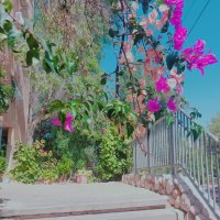 13  ОПЕН (98) :: OPEN WAYS ALL