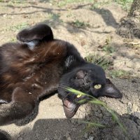 Модель :: Валентина .