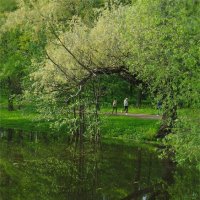 Чухонка-речка :: sv.kaschuk 