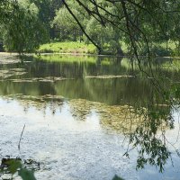 Ботанический сад 05 :: Олег Манаенков