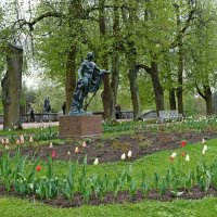 Время тюльпанов... :: Алекс Б-в