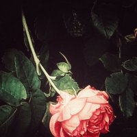 Тишина. :: Валентина M