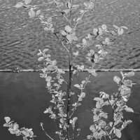 Назва. отсу. :: Денис Безногов