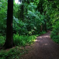 Отмаялись! :: Андрей Лукьянов