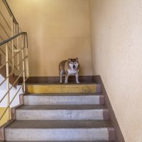 Ну, давай, старушка, спускайся! :: Валерий Иванович