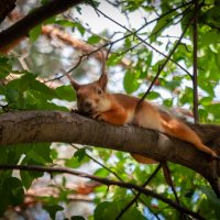 Она устала. :: Prinz Eugen 