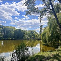 Парковое озеро. :: Валерия Комова