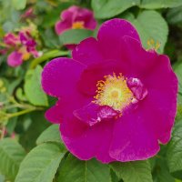 ,,, :: Сергей Тимоновский