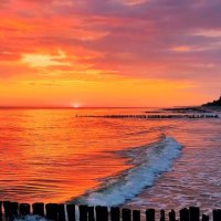 Летние утро :: Юрий. Шмаков