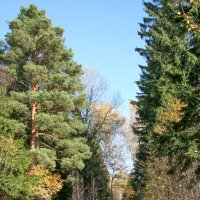 Бабье лето :: Елена 