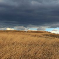 дорога :: РозаВетроф 