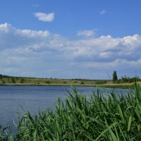 У пруда! :: Виктор У пруда! :: Виктор