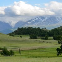 *** :: владимир 