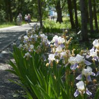 Ботанический сад 10 :: Олег Манаенков