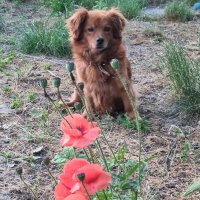 Шум на улице... :: Наталья 