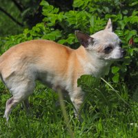 ***** :: юрий поляков