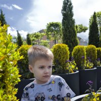 ... :: ВЛАДИМИР 