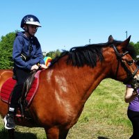 Мероприятия в Таллине ко Дню защиты детей. :: Aida10 