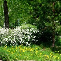 *** :: Александр 