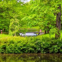 В Первый день лета... :: Sergey Gordoff