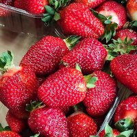 *** :: Алексей Архипов