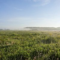 Июньский пейзаж :: Валерий Иванович Июньский пейзаж :: Валерий Иванович