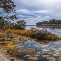 Ладога :: Ольга Cоломатина Ладога :: Ольга Cоломатина