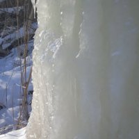 вариации на тему :: Елена Шаламова вариации на тему :: Елена Шаламова