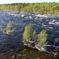 Летняя стихия :: Ольга 