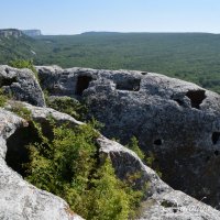 Природа Крыма :: Amazing Cosmea