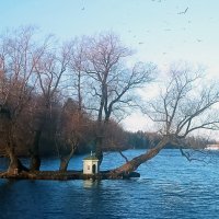 Белое озеро :: Vyacheslav Gordeev