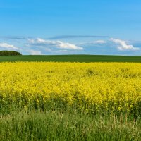 Простор :: Александр Мезенцев