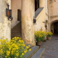 *** :: Геннадий Порохов