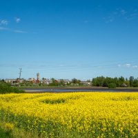 *** :: Геннадий Порохов