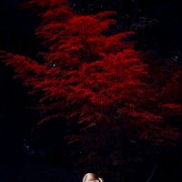 *** :: Евгений Нодвиков