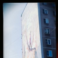 Мурал с жирафом. :: Игорь Солдаткин