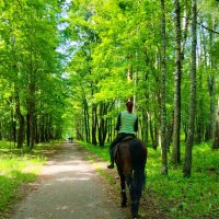 Верховая езда :: Галина Бобкина Верховая езда :: Галина Бобкина
