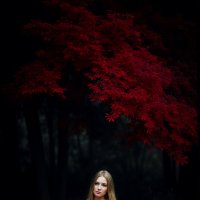 *** :: Евгений Нодвиков