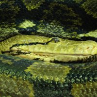 Змея :: <<< Наташа >>>