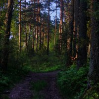 *** :: Сергей Григорьев