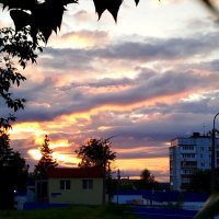 Симпатичный :: светлана льдокова