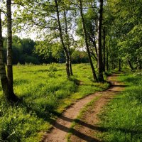 Зарисовки неюного натуралиста :: Андрей Лукьянов Зарисовки неюного натуралиста :: Андрей Лукьянов