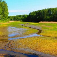Воду слили для очистки дна водоёма. :: Милешкин Владимир Алексеевич 