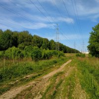 Зарисовки неюного натуралиста :: Андрей Лукьянов
