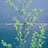 Назва. отсу. :: Денис Безногов