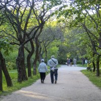 Аллея в ботаническом саду Н В Багрова :: Валентин Семчишин