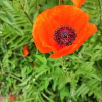 ,,, :: Сергей Тимоновский