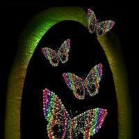 панно  Бабочки :: Е.М. ***